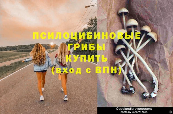 а пвп мука Бородино