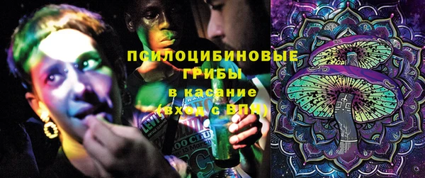 стаф Бугульма