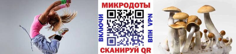 Купить закладки Ахтубинск Псилоцибиновые грибы MAGIC MUSHROOMS