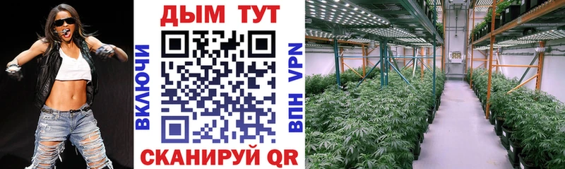 Купить  Ахтубинск  Бошки марихуана VHQ 